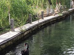 -水磨沟公园