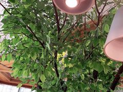 -蜜桃餐厅·伴山(湖滨商业街店)