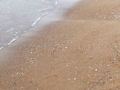 -烟台金沙滩海滨公园