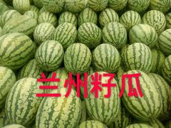 -仁寿山