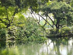 -成都市活水公园
