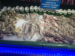 -欢乐牧场(T12店)