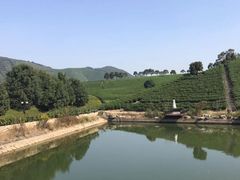 -帐篷客·溪龙茶谷度假酒店