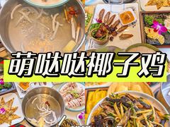 -亚龙湾热带天堂森林公园