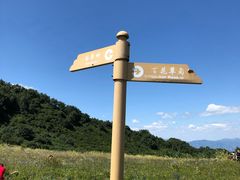 -白草畔自然风景区