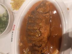 -阿五黄河大鲤鱼(海尚店)