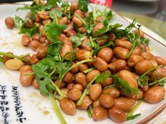 香菜花生-炮仗羊肉馆(郑陆店)