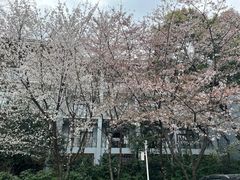 -天目湖御水温泉·度假酒店