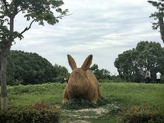 -嘉北郊野公园