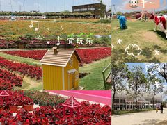 -盈香心动乐园