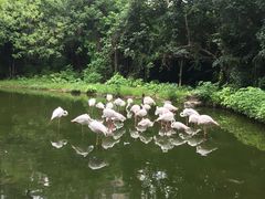 -广州动物园
