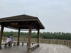 -大湾区中央湿地公园