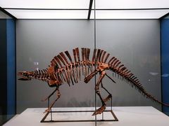 -湖南省地质博物馆