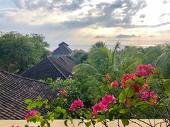 -飞鱼&摩娜潜水度假村