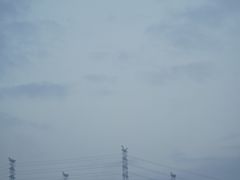 -火炉山森林公园