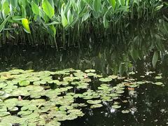 -同济大学本部学苑饮食广场