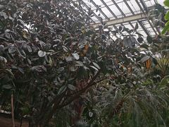 -龙达温泉生态城