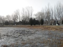 -北坞公园