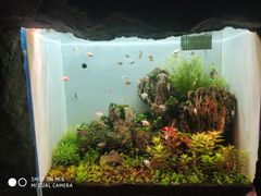 -多彩贵州城极地海洋世界