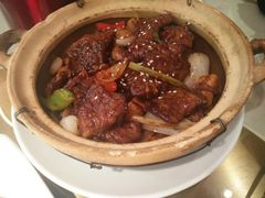 牛仔骨-南枝记