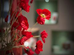 -潮一不贰·法式甜品·生日蛋糕·西式简餐(外滩店)