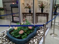 -福州长乐国际机场