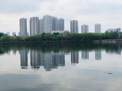 -长白岛森林公园