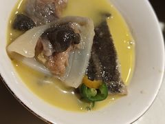 -潇湘甲鱼村(清河店)