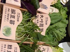 -蒙都43°9羊火锅(平庄店)