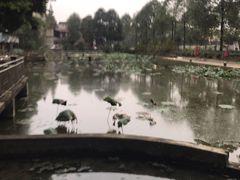 -蜀宴新村·柴火鸡(柏水店)