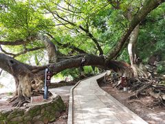 -抚仙湖禄充风景区