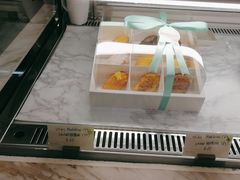 -Madeleine玛德琳(永平里店)