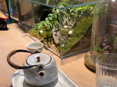-自由生长植物工作室(深港花卉中心店)