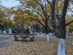 -山东大学(趵突泉校区)