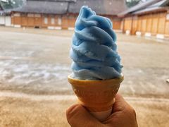 -名古屋城