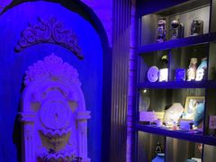 -雪灵魔法世界SHELLY’S TAROT(大良桂畔里店)