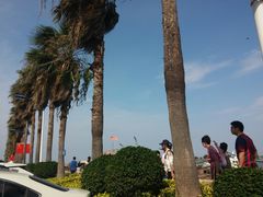 -南沙十九涌渔人码头-南门