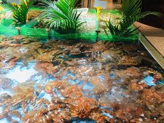 -79号渔船海鲜饭店(宝安店)