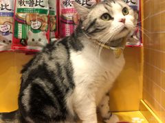 -小时光咖啡馆(开森度假森林店)