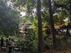 -广西壮族自治区博物馆