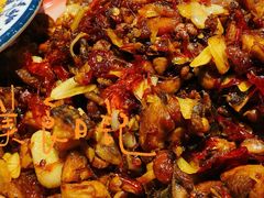 -柴窝堡22号辣子鸡·传承新疆菜