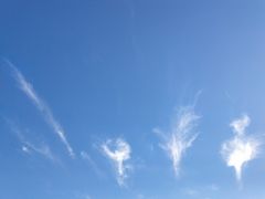 -星巴克(北京新东安)