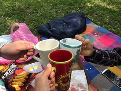 -长白岛森林公园