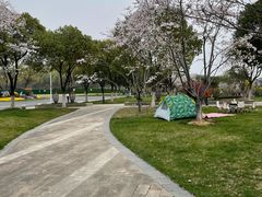 -羊山湖公园