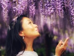 -嘉定紫藤园