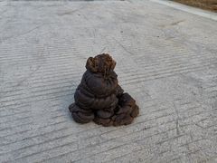 -大姆山草场
