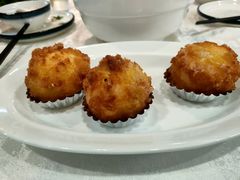 -丁老爷子苏香圆