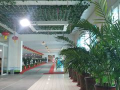 -兴芮温泉度假区