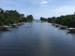 -亚龙湾喜来登·美景台大堂吧