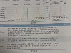 -特一安24小时宠物医院·骨科·中兽医